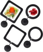 RIENER 4pcs Black Fish Feeding Ring Floating Food Square, Suitable for Flakes and Floating Fish Food for Goldfish (Round and Square) - Image 2