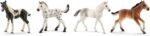 Schleich Horse Club 4-Piece Horse Foal Collector Set for Girls and Boys Ages 5+, Including Pinto, Knabstrupper, Mustang, and Holsteiner Foal Toy Baby Horse Figurines, Horse Gifts for Kids Ages 5+ - Image 2