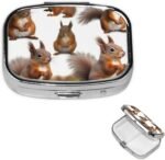Square Pill Case 2 Compartment Cute Squirrels Pill Box Mini Medicine Pill Organizer Portable Travel Pillbox for Pocket Purse Metal Pill Container for Vitamins Fish Oil Supplements - Image 2