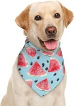 Summer Watermelon Blue Fruit Dog Bandana Scarf Triangle Bibs Pet Accessories Cat Kerchief - Image 2