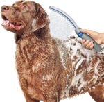 Waterpik Pet Wand Pro Dog Shower Attachment for Fast and Easy Dog Bathing and Cleaning, Indoor and Outdoor Sprayer Includes 8-Foot Flex Hose, Blue/Grey, PPR-252E - Image 2