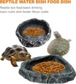 CoguZed 2 Pcs Reptile Feeding Dish Corner Bowl, Reptile Water Dish Food Bowl, Reptile Feeding Terrarium Bowls for Bearded Dragon Lizard Frog Gecko Snake Tortoise Hermit Crab - Image 5
