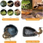 CoguZed 2 Pcs Reptile Feeding Dish Corner Bowl, Reptile Water Dish Food Bowl, Reptile Feeding Terrarium Bowls for Bearded Dragon Lizard Frog Gecko Snake Tortoise Hermit Crab - Image 7