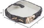 PENN-PLAX Reptology Reptile Fossil Rock Food/Water Dish – Perfect for Bearded Dragons, Geckos, Chameleons, Snakes, Hermit Crabs, and Many More – Large - Image 7
