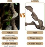 Reptile Decor Natural Forest Branch Terrarium Habitat Decoration Lizard Climbing Tree Branch for Bearded Dragon Gecko Snake Frog Chameleon Spider 3PCS - Image 5