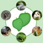 2PCS Tortoise Water Dish, Leaf Shape Reptile Water Dish Bowl, Turtle Feeder Plate, Pet Feeding Bowl for Tortoise Hermit Crab Snake Reptile Drinking and Eating(2 Sizes) - Image 8