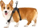 Insta360 GO 3/GO 3S Pet Harness Mount Size S - Image 2