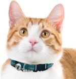 Pets First NFL CAT Collar Miami Dolphins Satin Cat Collar Football Team Collar For Dogs & Cats. A Shiny & Colorful Cat Collar With Ringing Bell Pendant - Image 4