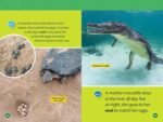 Reptiles (National Geographic Kids Readers, Level 1/Co-Reader) - Image 6