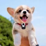 4K Cat Collar Camera IPS Touch Screen HD Pet Camera Small Action Sport Dog Cam Magnetic Clip Back Shake Proof (White) - Image 5