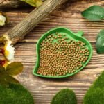 4 Pieces Leaf Reptile Food Water Bowl Plate Dish for Tortoise Corn Snake Crawl Pet Drinking and Eating, 2 Sizes - Image 3