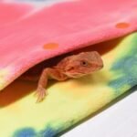 LIKZINWA Small Animal Sling Carrier,Bearded Dragon Carrier Lizard Carrier and Reptile Carrier with Adjustable Strap (Yellow-red) - Image 7