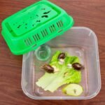 6 Pack Small Reptile Carrier Breeding Box Snake Plastic Hatching Container with Cover Handle for Snake Bearded Dragon Lizard Frog Fish Turtle Hermit Crab (7.48 x 7.48 x 5.5 Inch) - Image 4