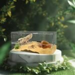 Reptile Terrarium Tank, Hermit Crab Bearded Dragon Enclosure Cage, Habitat Feeding Breeding Box for Amphibian Jumping Spider, Clear Acrylic, 16x8x8 Inch - Image 3