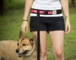 Hands Free Dog Leash Belt - Medium-Large - Neon Pink - Image 4