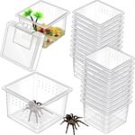 20 Pcs Insect Spider Terrariums Breeding Box Small Reptile Hatching Container Transparent Cricket Keeper Breeder Box Feeding Spider Cage with Lid for Scorpion Gecko Tortoise Centipede Tarantula - Image 2