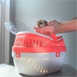 TRIXIE Pico Transport Crate, Small Pet Carrier, Portable Travel Carrier, for Small Pets, Hamsters, Guinea Pig, Lizards - Image 4