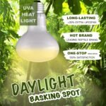 Reptile Heat Bulb Lamp, 2-Pack 100W Daylight Basking Spot, Bearded Dragon/Turtle/Lzard/Gecko Light Bulb, UVA Heat Lamp, Basking Light for Reptiles - Image 3