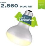 Reptile Heat Bulb Lamp, 2-Pack 100W Daylight Basking Spot, Bearded Dragon/Turtle/Lzard/Gecko Light Bulb, UVA Heat Lamp, Basking Light for Reptiles - Image 6