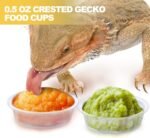 0.5oz Crested Gecko Food and Water Feeding Cups, Reptile Feeder Bowls, Plastic Replacement Food Dish for Lizard and Other Small Pet Ledge Accessories (100 pcs) - Image 7