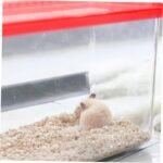 Transparent Plastic Turtle Fish Tank, Reptile Carrier, Feeding Tank, Glass Containers, Amphibia Container, Terrarium, Hamster Cages, Reptiles Commodity Mini - Image 4