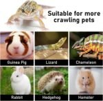 Bearded Dragon Carrier and Leather Leash, Adjustable Harness and Reptile Small Pet Coral Fleece Backpack for Outdoor Travel Walking Rest -Black - Image 6