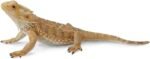CollectA Bearded Dragon Lizard Toy Figure - Authentic Hand Painted Model , Tan , 1.6 inch - Image 4