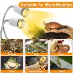 Reptile Heat Lamp, Dual Head UVA/UVB Reptile Light with Cycle Timer, Dimmable Basking Light for Turtle Tortoise Lizard Snake Bearded Dragon and More, 4 Bulbs (2PCS 25W + 2PCS 50W) Included - Image 6