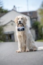 Retro Camera Plush Dog Toy - Image 6