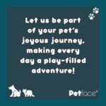 Retro Camera Plush Dog Toy - Image 7