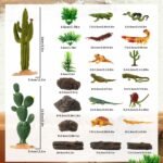 32Pcs Desert Reptiles Animals Figures Toys Resin Diorama Lizard Snake Cactus Trees Rock Playset for Kids Toddlers Cake Decoration Birthday Halloween Party Favor School Projects - Image 3