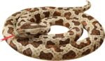 Clobeau 78" Realistic Snake Stuffed Animal Plush Toy, Giant Lifelike Stuffed Snake Stuff Animal for Kids (Brown) - Image 2