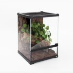 Mini Reptile Glass Terrarium Tank 8"*8"*10" Full View with Front Opening Door,Amphibians Enclosure Habitat Cage for Leopard Gecko Tarantula Young Lizard Hermit Crab Frog Insects Breeding - Image 7