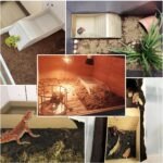 kathson Tortoise Water Dish with Ramp and Basking Platform, Reptile Water Bowl Turtle Soaking Tub Hermit Crab Bathing Pool for Amphibians Habitat Accessories (Brown) - Image 7