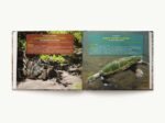Discovering Reptiles: The Ultimate Handbook to the Reptiles of the World! - Image 7