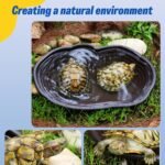 Tortoise Water Dish with Ramp 15x11x2 Inch Shallow Reptile Water Dish Smooth Easy Wash Multi-Purpose ABS Turtle Tub for Gecko Snake, Brown - Image 4