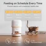 Automatic Cat Feeders - 2L Cat Food Dispenser Easy to Use, Timed Automatic Pet Feeder with Over 180-day Battery Life, 1-6 Meals Dry Food Programmable Portion Control Also for Dogs - Image 3