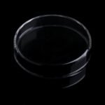 Shrimp Feeder Acrylic Dish Aquarium Fish For Bottom Feeding Tray Reptiles Round Clear Food Bowl 2.4" Diameter - Image 4