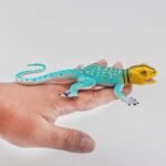 Forest Snake Figurine Lizard Figures Frog Figures 4PCS Tropical Forest Animals Figurines Frog Toys School Project Model for Kids Toddlers Birthday Gift Cake Toppers - Image 4