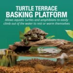 Tetra ReptoHabitat Kit for Aquatic Reptiles and Amphibians, 15 Gallons, Create a Home for Aquatic Juvenile Turtles, Frogs, Newts and Salamanders, 24.4 x 12.5 x 12.7 inches - Image 4