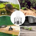 Tortoise Water Bowl, 4.3 Inch Stainless Steel Tortoise Water Dish with Clear Plastic Bottle, Turtle Feeder for Reptile Animals - Image 7