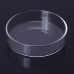 Shrimp Feeder Glass Feeding Dish Aquarium Fish for Reptiles Round Clear Food Bowl 3.9" 3.5" 3.2" 2.6" 2.4" Tra - Image 7