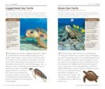 National Geographic Pocket Guide to Reptiles and Amphibians of North America - Image 7