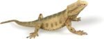 Bearded Dragon Animal Figurine Lizard Toy Realistic Reptile Figures for Decoration, Science Education, Prank Props (Bearded Dragon) - Image 2