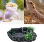 Pet Feeder, Resins Reptiles Water Dishes Antiskid Climb Pet Water Tray Drinking Food Feeders for Tortoises and Lizards Drinking - Image 3