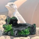Pet Feeder, Resins Reptiles Water Dishes Antiskid Climb Pet Water Tray Drinking Food Feeders for Tortoises and Lizards Drinking - Image 4