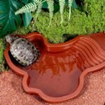 Pet Feeder, Detachable Reptiles Water Bowl for Turtles with Steps Designing Durability Easy to Assemble for Indoor or Outdoor Use - Image 5