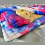 Turtle Tank, Reptiles Sleeping Bed Blanket for BeardedDragon Small Animal Sleeping Bag Reptiles Pet Habitats Terrariums Sleep Pad - Image 5