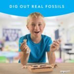 National Geographic Mega Fossil Dig Kit - Excavate 15 Genuine Prehistoric Fossils, Kids Fossil Kit, Educational Toys, Great Science Kit Gift for Girls and Boys (Amazon Exclusive) - Image 3