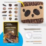 National Geographic Mega Fossil Dig Kit - Excavate 15 Genuine Prehistoric Fossils, Kids Fossil Kit, Educational Toys, Great Science Kit Gift for Girls and Boys (Amazon Exclusive) - Image 6